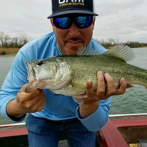 Meet your Posher, Joe